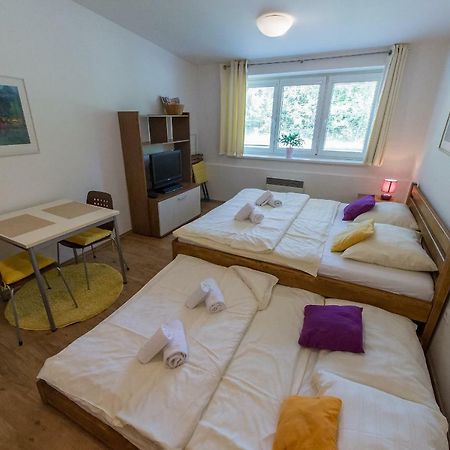 Apartman Lipno 20 Lipno nad Vltavou Eksteriør bilde